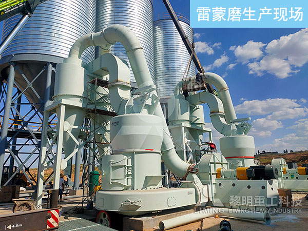 雷蒙磨生產現場