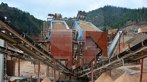 振動篩生產線案例