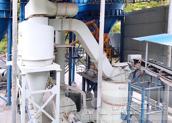 印度時產(chǎn)30噸石灰石磨粉生產(chǎn)線