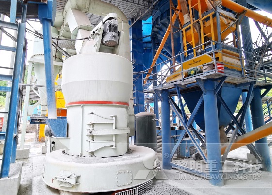 印度時產(chǎn)30噸石灰石磨粉生產(chǎn)線
