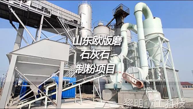 山東濱州時產15噸成品400目MTW歐版磨粉機石灰石制粉項目